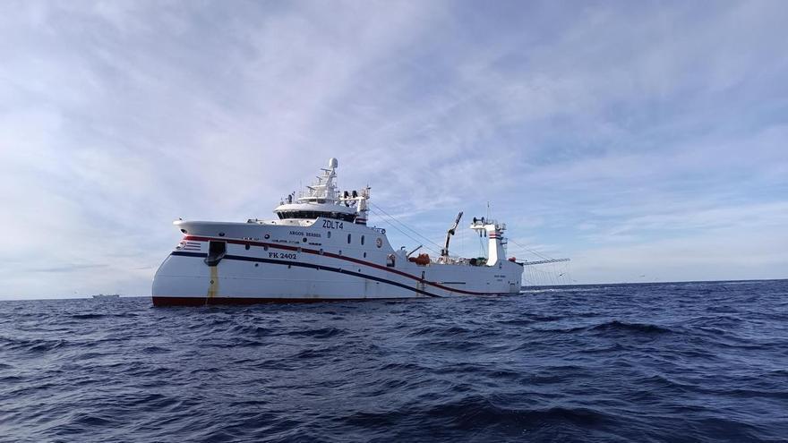 Malvinas investiga las causas de la escasez de calamar en el caladero