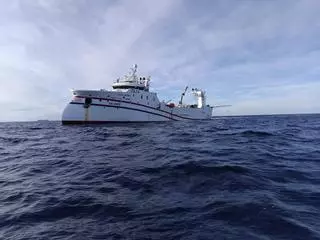 Malvinas investiga las causas de la escasez de calamar en el caladero