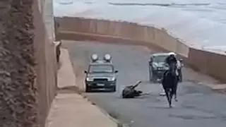 Tragedia en una carrera de caballos en Gran Canaria