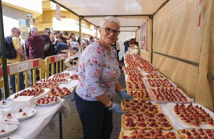 VALSEQUILLO. Feria de la fresa de Valsequillo  | 05/05/2019 | Fotógrafo: José Pérez Curbelo