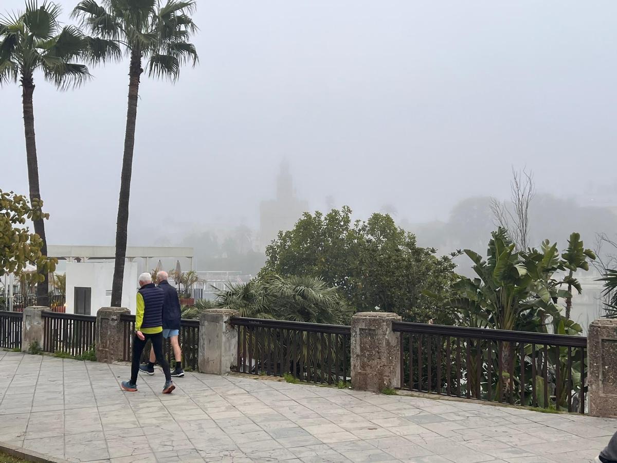 Así amanece Sevilla bajo la niebla, en imágenes