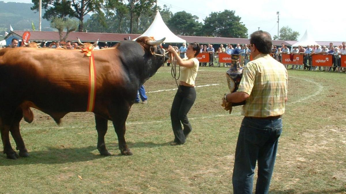 Concurso exposición de ganado en Llanera, en imagen de archivo. | | LNE