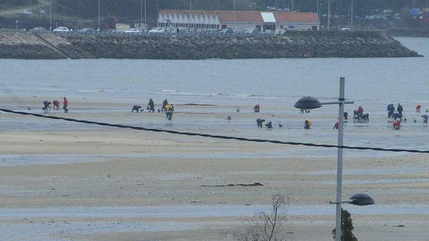 Mariscadoras de Moaña, esta semana trabajando en la playa de A Xunqueira. // FDV