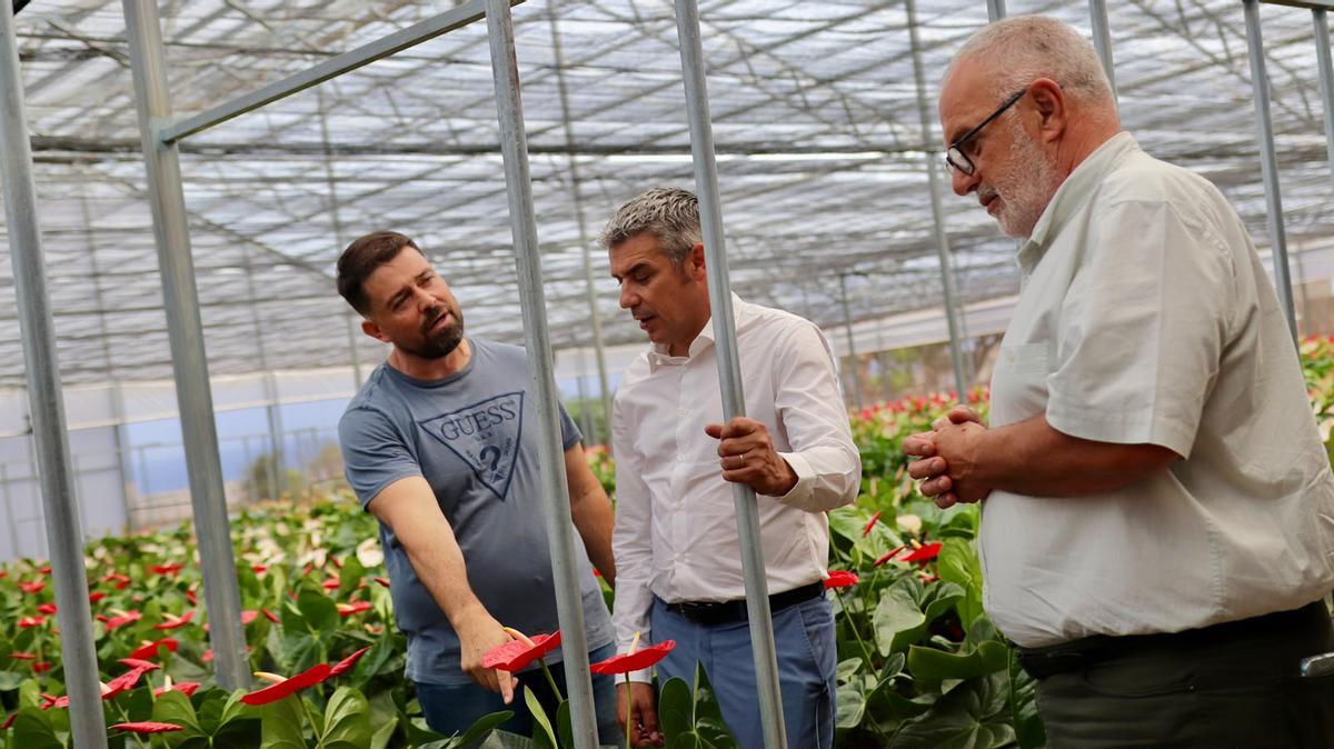 El consejero de Agricultura, Ganadería, Pesca y Soberanía Alimentaria del Gobierno de Canarias, Narvay Quintero, en la finca del agricultor Héctor Manuel González Márquez