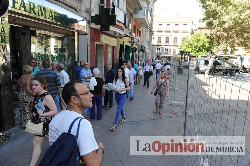 El día después de la caída de la rama del ficus de