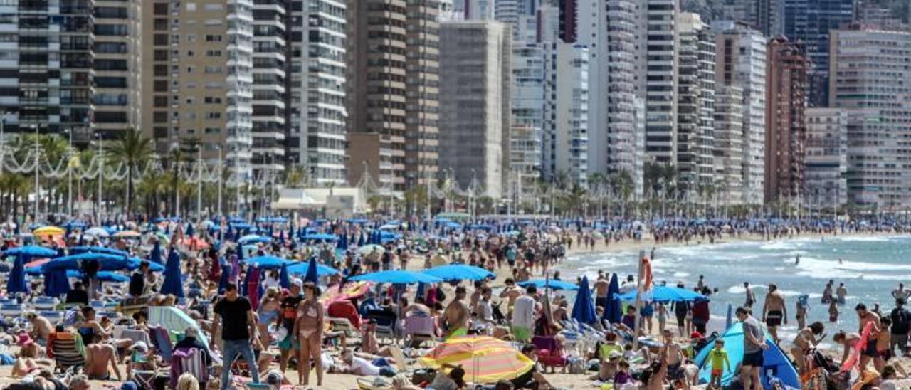 La playa de Levante de Benidorm, sin hueco ni para un alfiler, este verano.