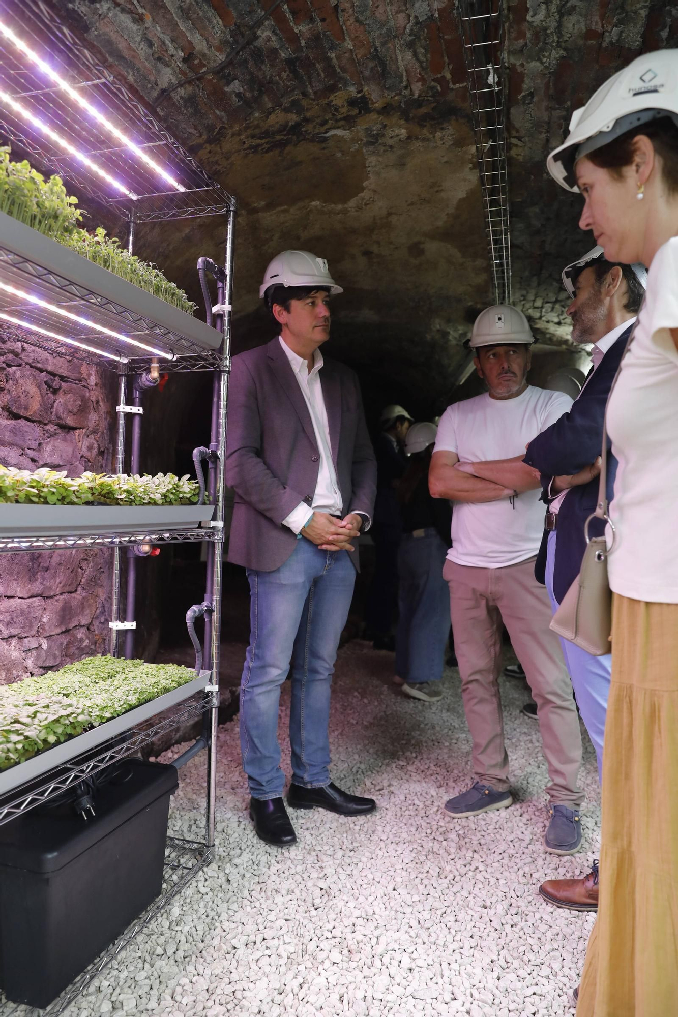 De Laviana a la Luna: así son los experimentos con cultivos subterráneos que se hacen en Carrio