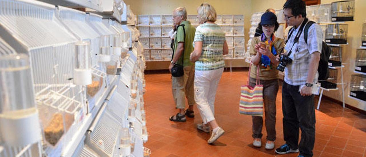 Un momento, ayer, del concurso-exposición en la Casa de la Cultura de la villa de Teror.