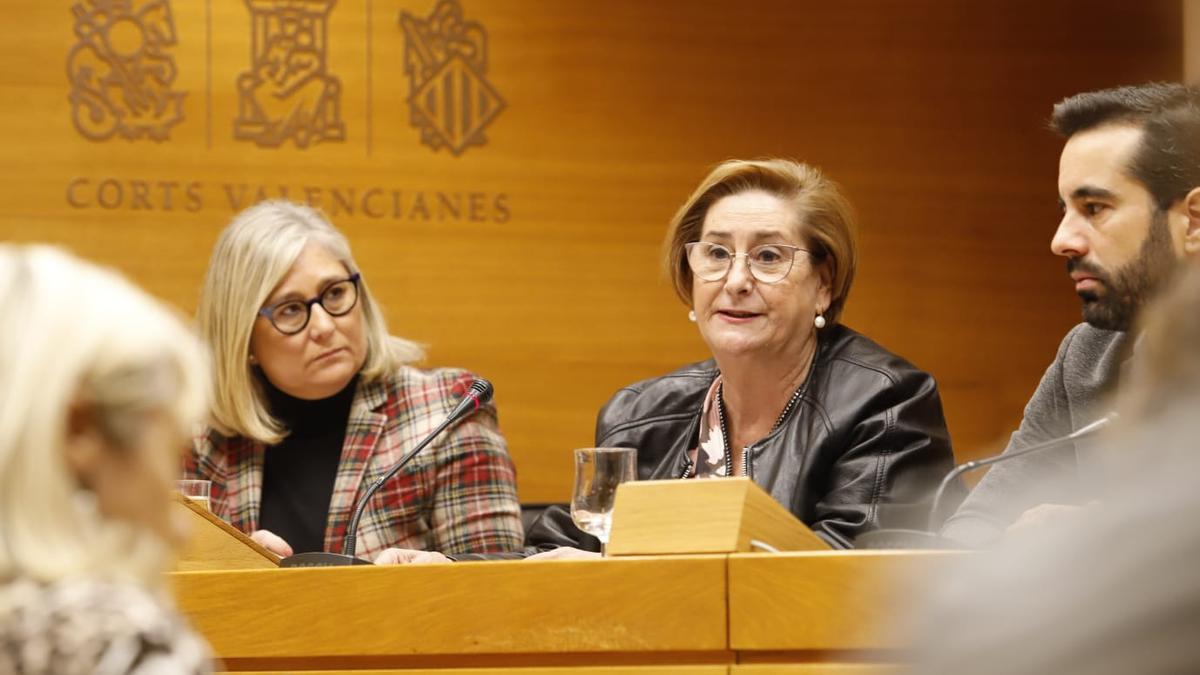 La fiscal superior de la Comunitat Valenciana, Teresa Gisbert, durante su intervención.