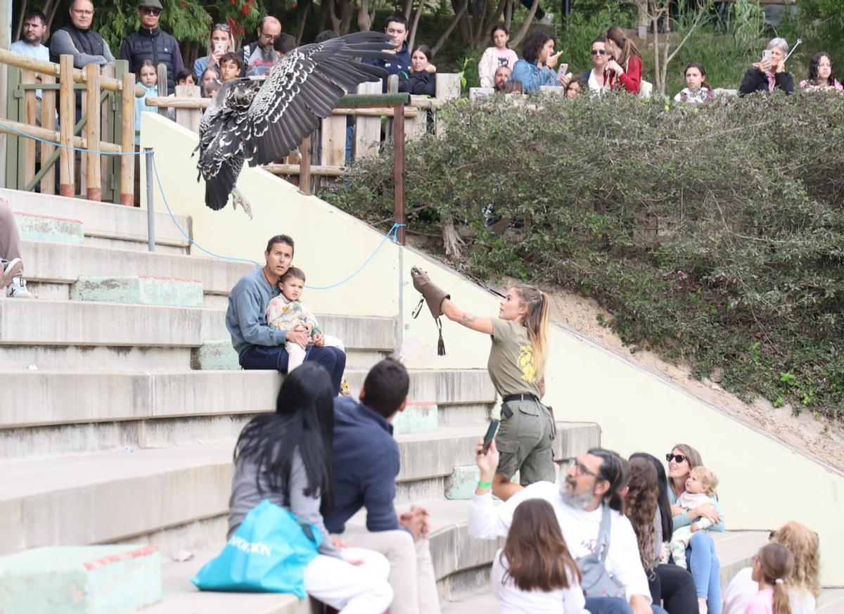 El foro Creciendo Juntos en TERRA NATURA, en imágenes