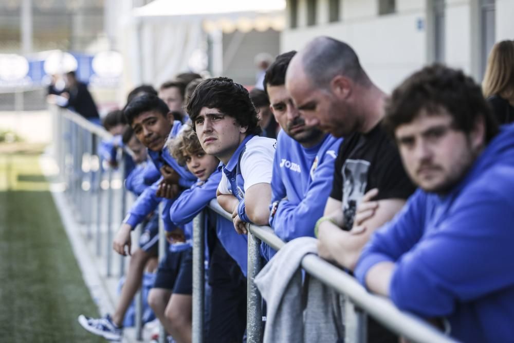 Oviedo Cup 2017: todas las imágenes