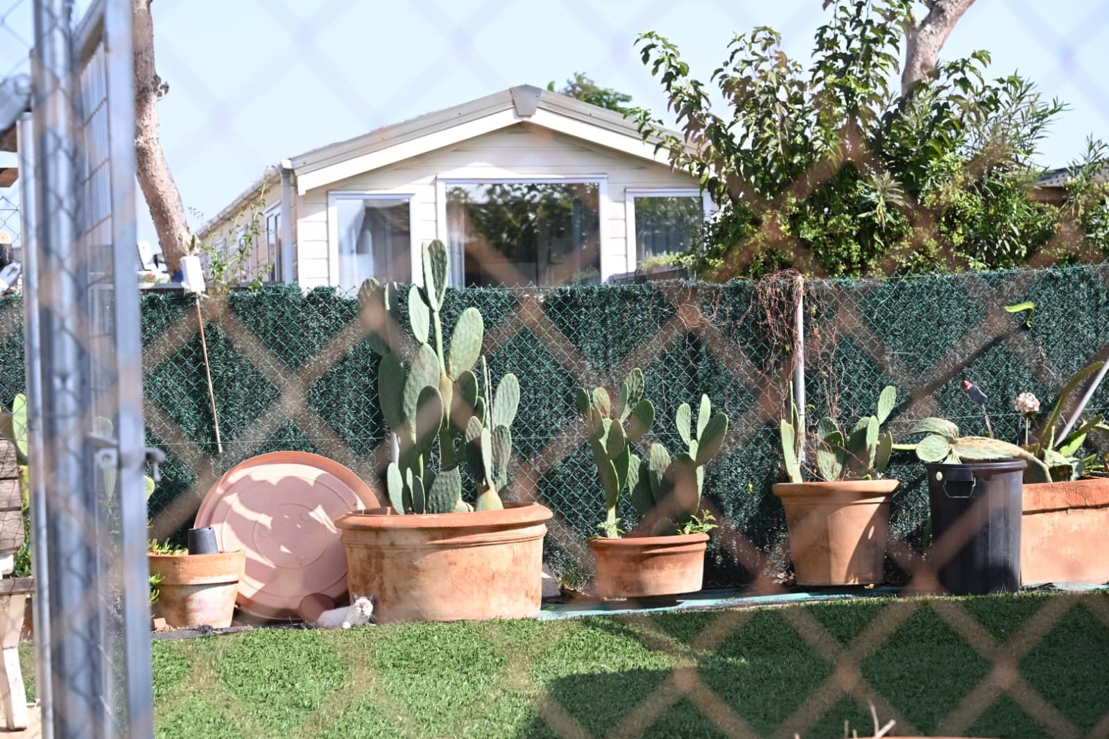 Camping de "mobil homes" en suelo no urbanizable e inundable de Guardamar