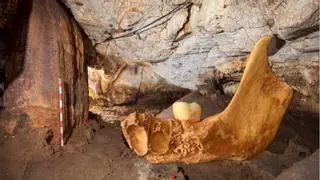 Hallan en Pedreguer las primeras muestras de canibalismo infantil del Neolítico en la Comunidad Valenciana