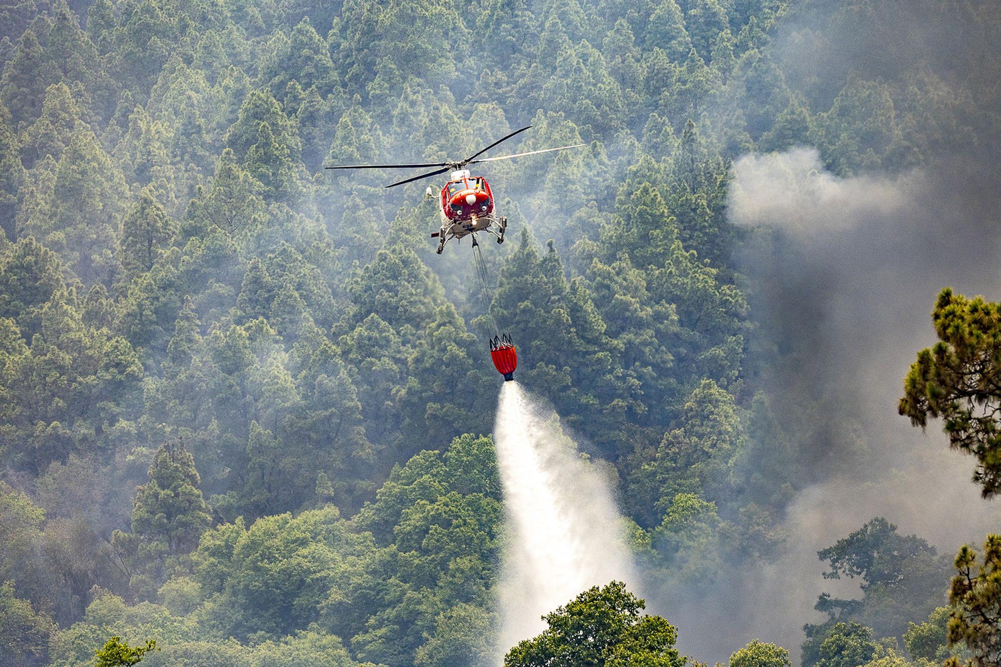 L'incendi forestal de Tenerife, en imatges