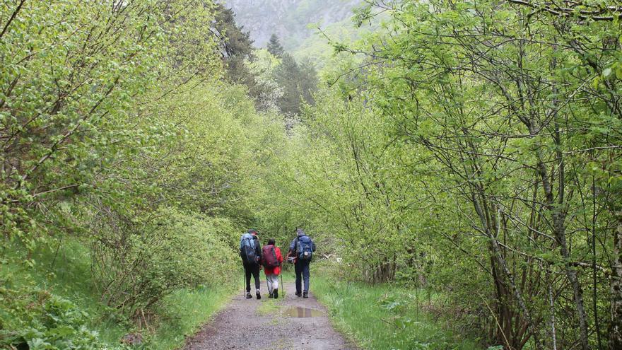 Un grupo de estudiantes del IES Río Gállego de Zaragoza recorre el Camino de Santiago