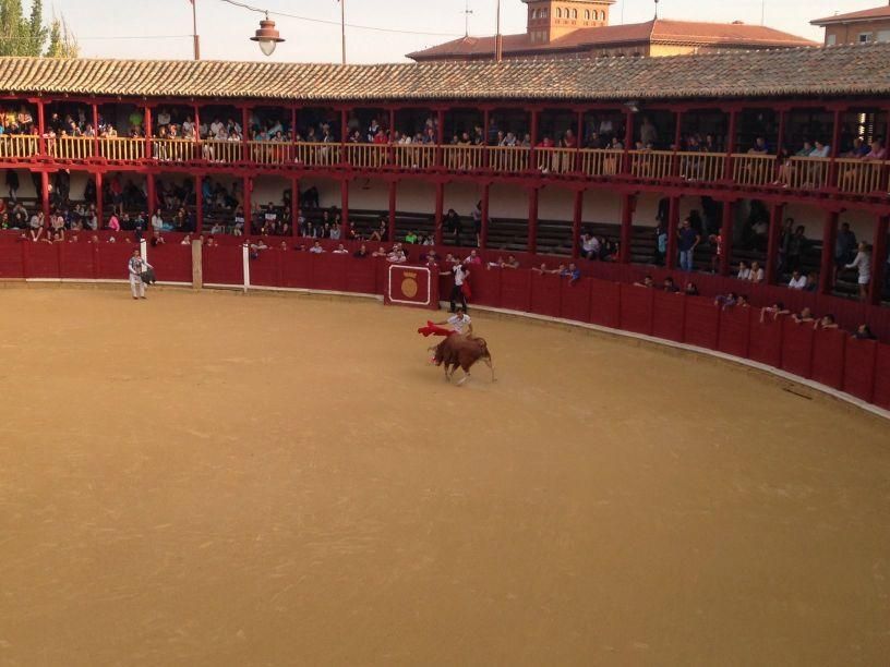 Fiestas Toro: Encierro urbano y suelta de vaquilla