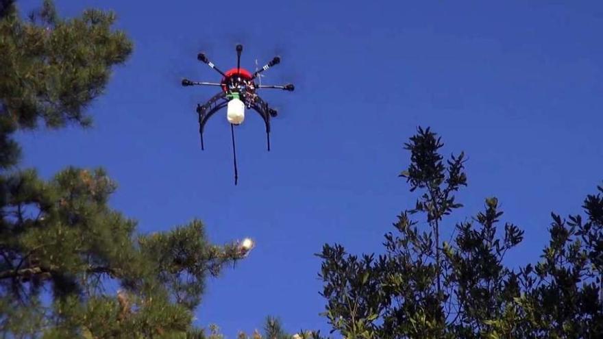 Un dron de Aeromedia durante una fumigación.