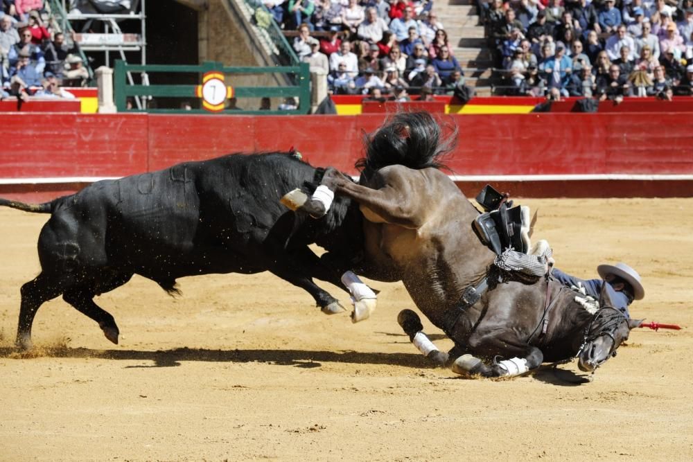 Secuencia de la cogida de uno de los caballos del rejoneador Sergio Galán el día de San José en la Feria de Fallas 2019.