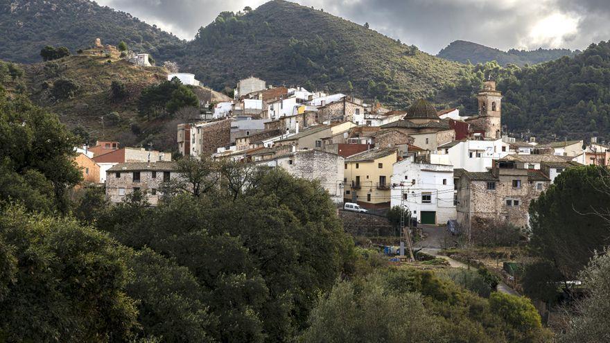 ¿Sabes en cuántos habitantes aumentó su población el Palancia en 2022?