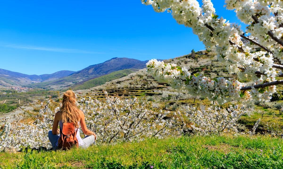 Una turista visita la zona del Valle del Jerte en pleno cerezo en flor.