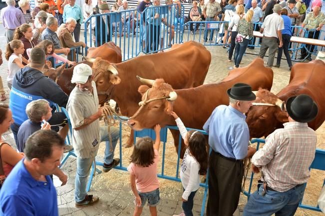 FIESTAS DE SAN GREGORIO