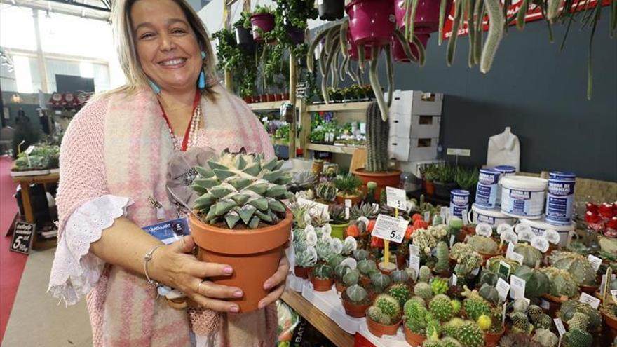 Botani muestra una colección privada de 300 de cactus