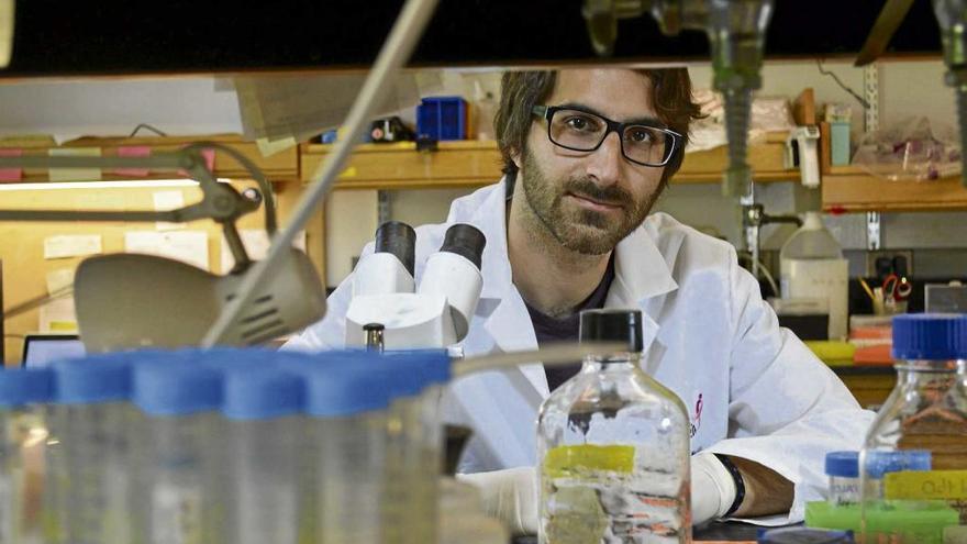 El joven científico pobler Antoni Celià entre microscopios y frascos en su laboratorio de Princeton.