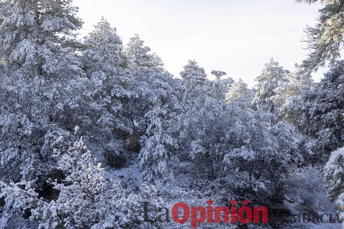 Descubre dónde queda acumulación de nieve en la Región de Murcia