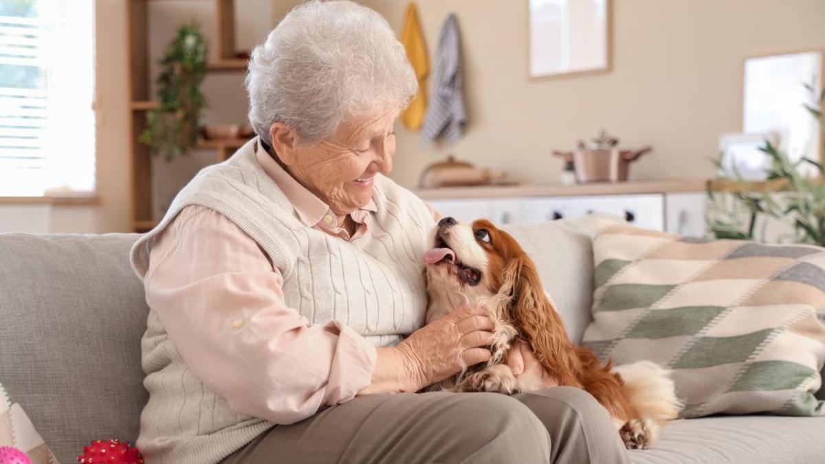 Una anciana acaricia la seva mascota, en una imatge d'arxiu.