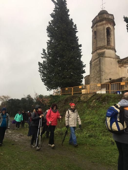 Els peregrins a Santa Cecília