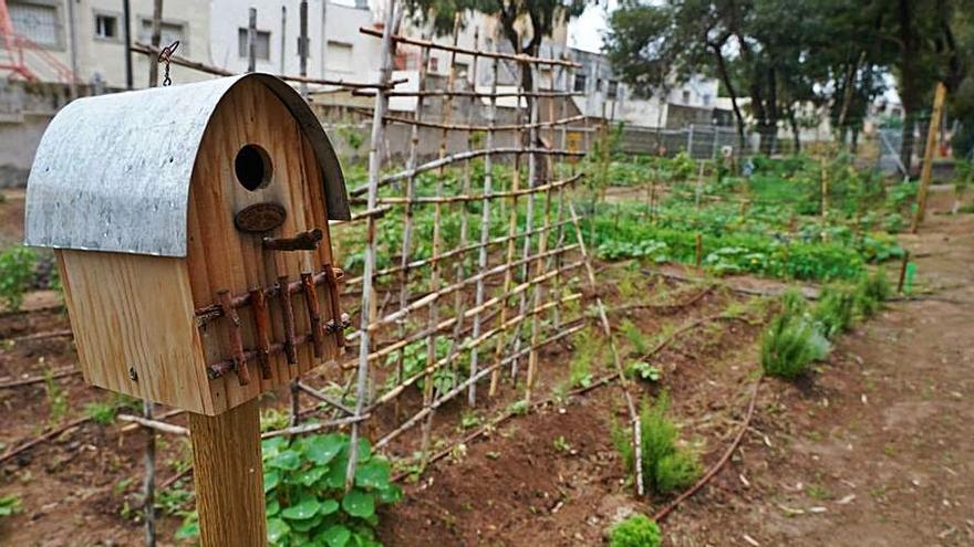 El Huerto Ecológico del Centro Juvenil de Canteras.