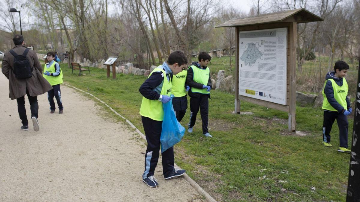 Alumnos del colegio Santísima Trinidad recogen basura en la zona cercana al río Duero.