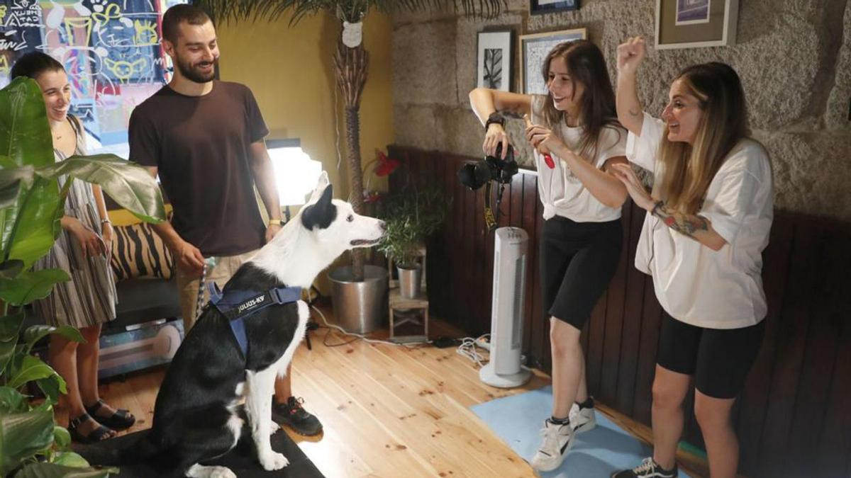 Este perro posa para la cámara en una de las ediciones anteriores de este evento fotográfico y solidario que vuelve a Vigo.