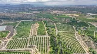 La Generalitat da el visto bueno ambiental a una planta solar sobre siete hectáreas en Jacarilla