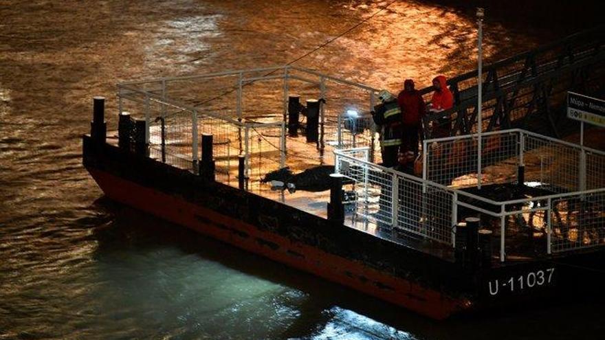 Naufraga un barco turístico en el río Danubio y deja al menos siete muertos