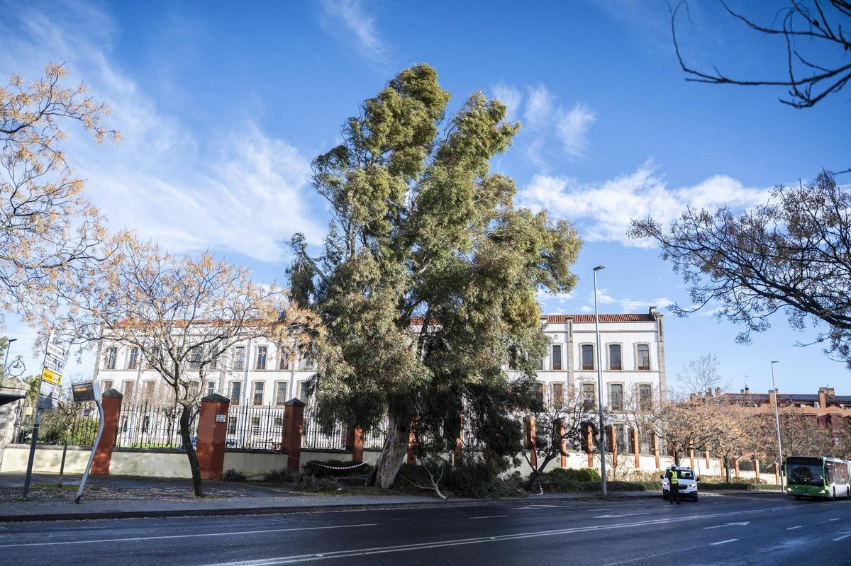 Fotogalería | El temporal en Cáceres, más imágenes
