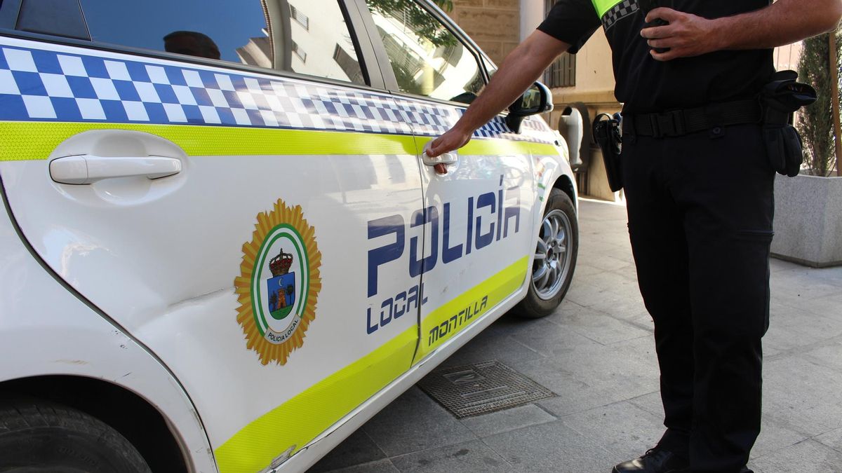 La detención del presunto autor de los hurtos la llevó a cabo la Policía Local Montilla.