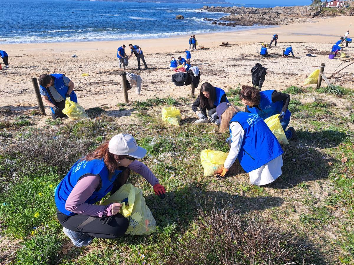 La limpieza de la playa de Area de Bon, en Bueu, en imágenes (II)