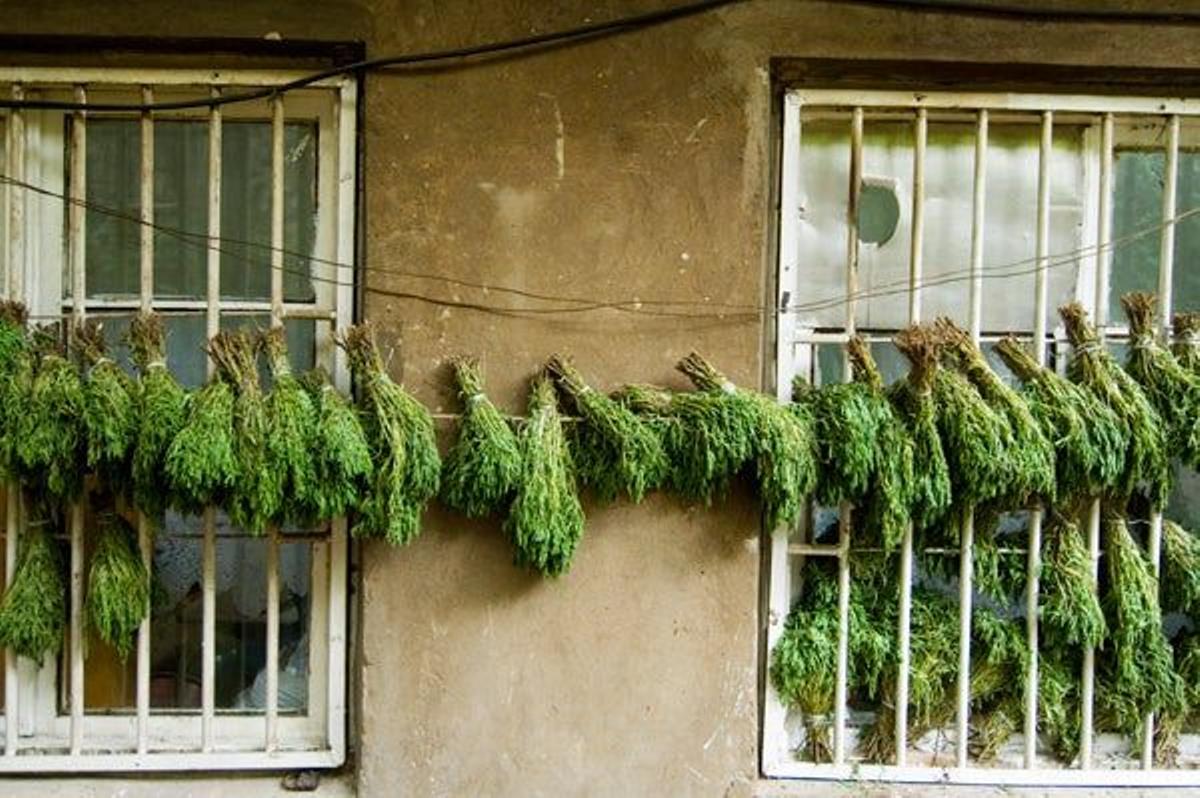 Escena típica en Armenia.