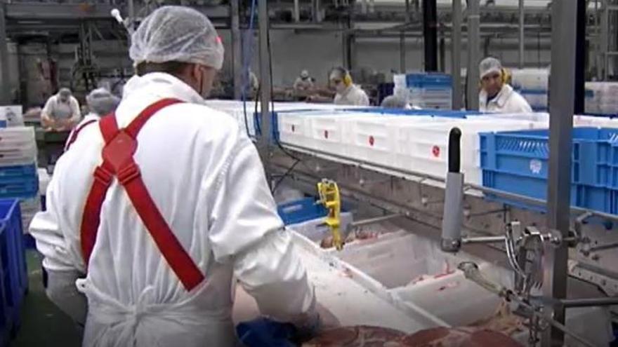 Un brote de coronavirus en una industria cárnica en Alemania deja al menos 650 infectados