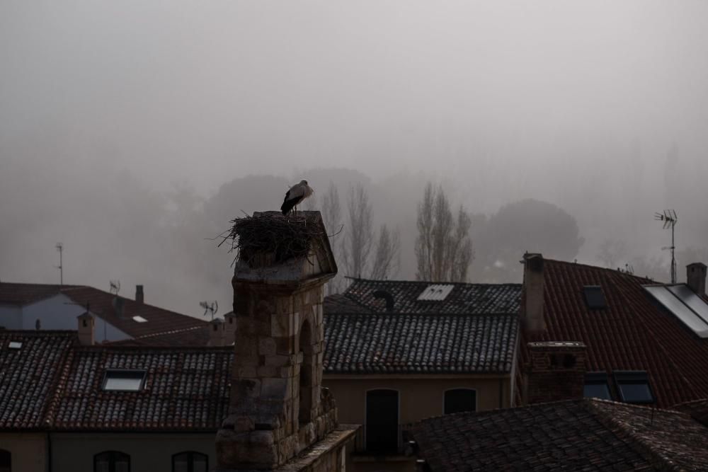 Zamora, bajo la niebla