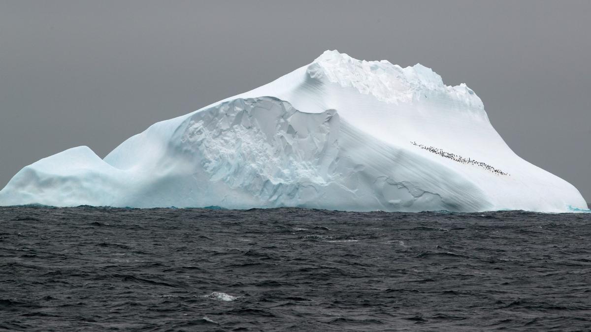 Iceberg con colonia de pingüinos en el Mar de Scotia.