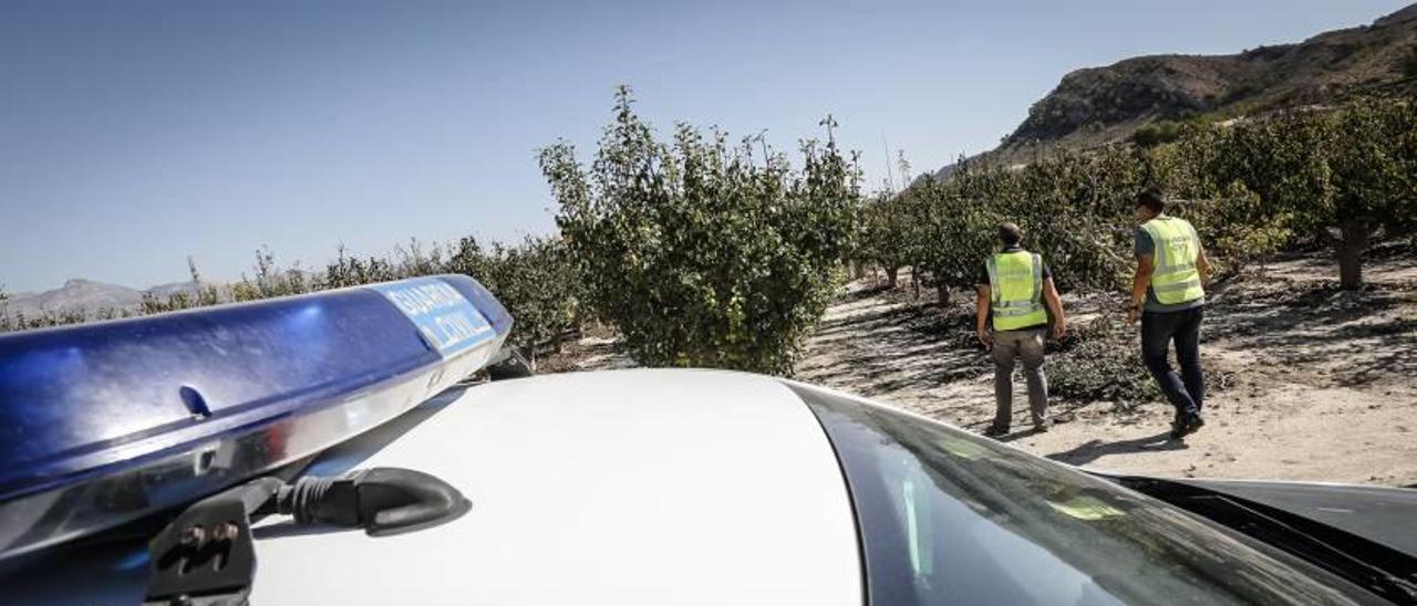 El Equipo Roca esclarece doce delitos al mes del ámbito rural en el interior de la provincia