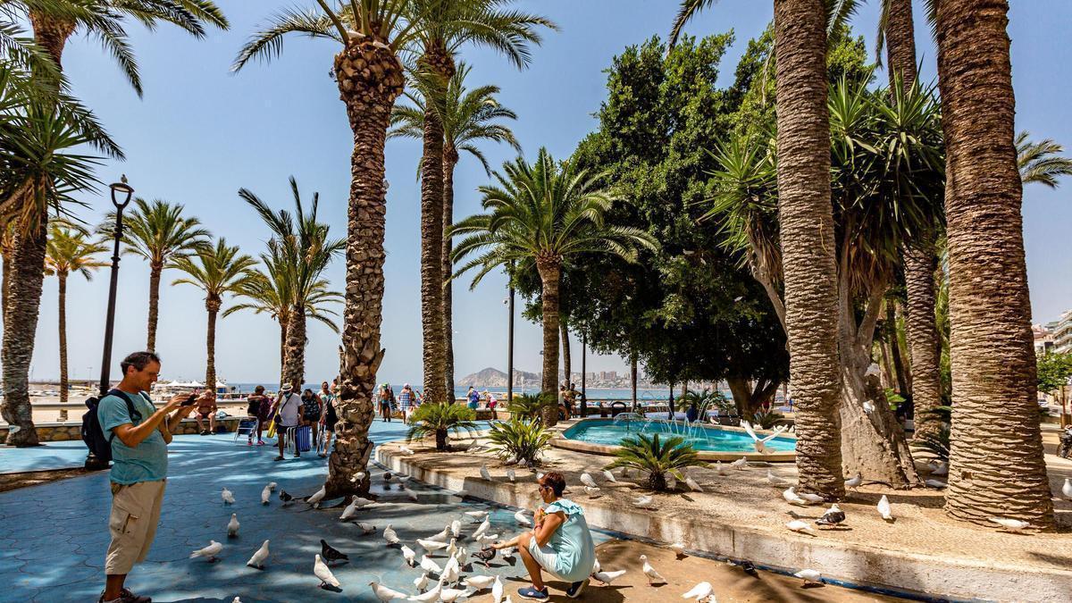 Fuente del parque de Elche, muy unido a la historia del alcalde por ser el lugar donde llevó el agua potable a Benidorm en 1960.