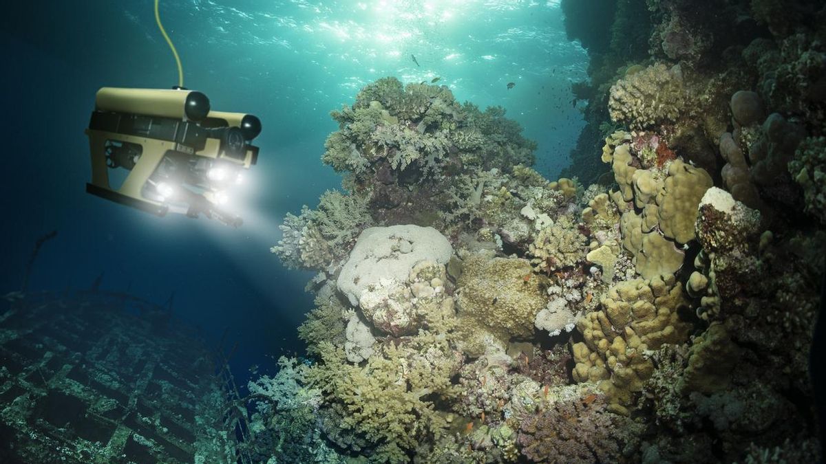 Los investigadores utilizaron un dron para el descubrimiento