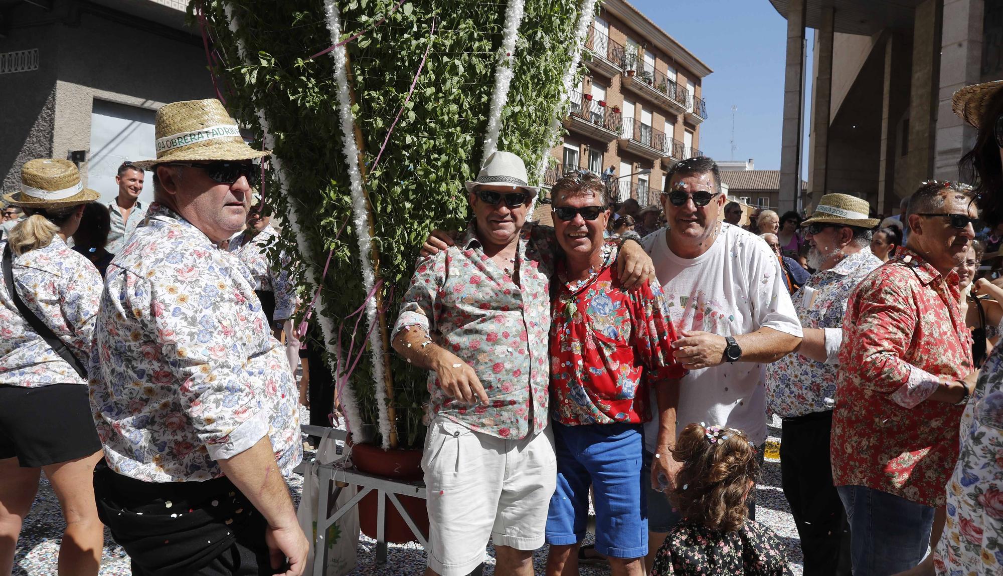 Festa de Les Alfàbegues de Bétera