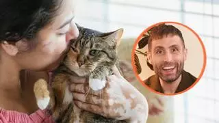 Carlos Gutiérrez, veterinario: “Los gatos no entienden los besos y los abrazos como las personas”
