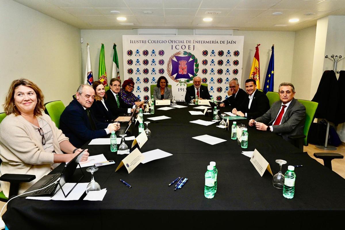 Catalina García en el Pleno del Consejo Andaluz de Enfermería