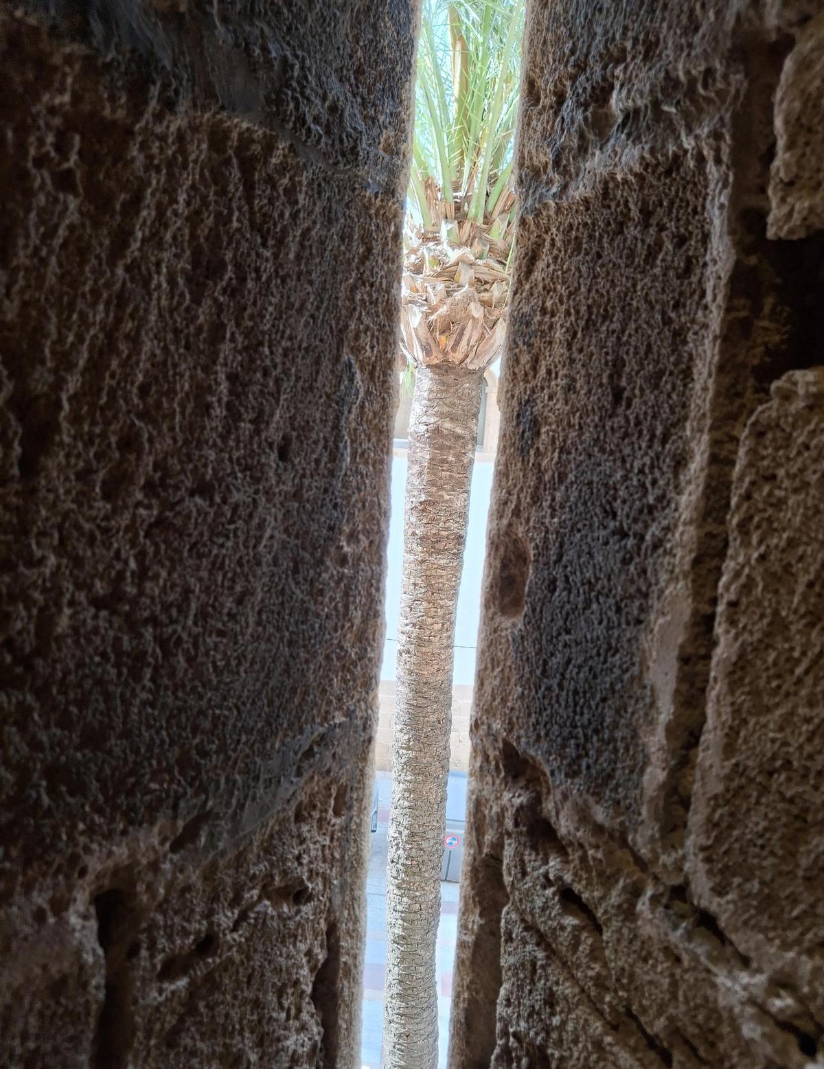 La perfecta alineación del hueco de la aspillera y la palmera
