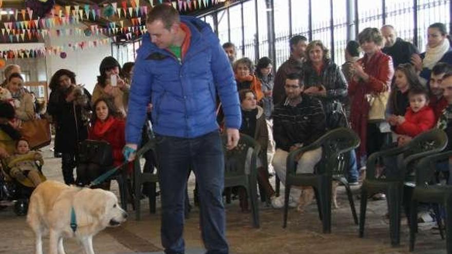 Un momento del desfile canino dentro del mercadillo.  // J. L. Oubiña